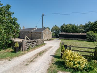 Picture 27